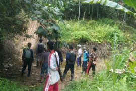 BKSDA Sumbar pastikan harimau muncul di Pagadih Agam