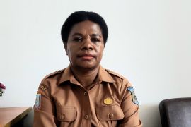 Dinkes: Kasus malaria di Kota Sorong masih tinggi