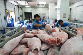 KKP siapkan sistem informasi cold storage perkuat hilirisasi perikanan