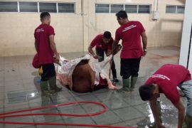 RPH Lambaro sediakan layanan lengkap mudahkan masyarakat