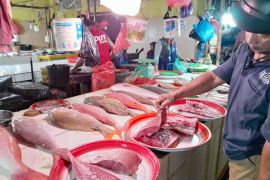 Harga Ikan di Pasar Higienis Bahari Ternate  stabil
