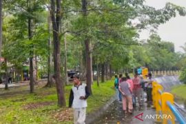 Wisata Mukomuko tutup antisipasi harimau