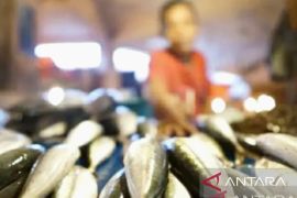 Pemkab Karawang berupaya tingkatkan produksi olahan serba ikan