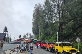 Pemkab Probolinggo tertibkan loket masuk wiisata Gunung Bromo