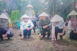 Pemkab: Stok bahan pangan di Pasaman Barat mencukupi