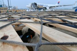 Pj Gubernur Jabar: Biaya non-transportasi kargo di BIJB Kertajati lebih murah