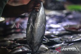 Gubernur Maluku terpilih gagas hilirisasi sektor  perikanan