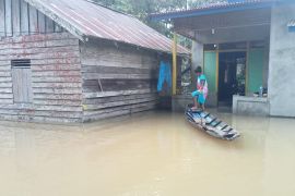 11 kecamatan di Bengkayang Kalbar dilanda bencana banjir