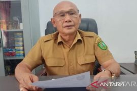 Pemkab Mandailing Natal optimalkan lahan rawa untuk pertanian
