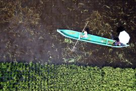 Pemkab Gorontalo mendata lahan pertanian terdampak banjir