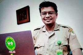 BKSDA membantah pembalakan liar pohon pinus di Lembanna Malino-Sulsel