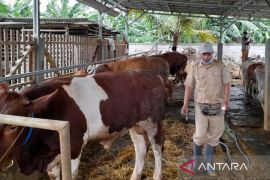 Pemkab Bekasi antisipasi sebaran PMK hewan ternak usai ada peningkatan kasus