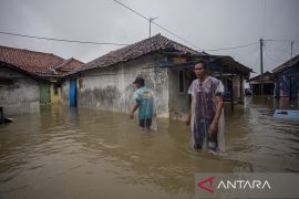 Banjir rob di Pantura Indramayu