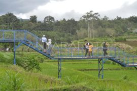 Penurunan nilai alokasi dana desa Provinsi Bengkulu