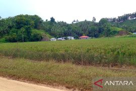 Tokoh masyarakat: Gorontalo Utara edukasi bertani ramah lingkungan