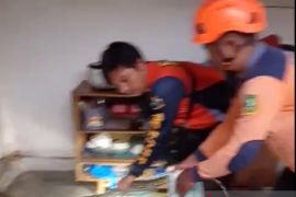 Tim BPBD Sukabumi evakuasi ular piton panjang sekitar tiga meter yang masuk rumah warga