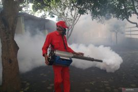 Fogging cegah chikungunya di sekolah