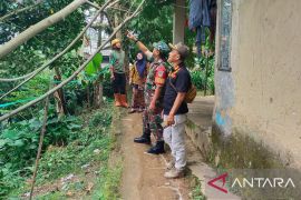 Petugas evakuasi pohon tumbang yang timpa rumah warga di Kampung Sukarame