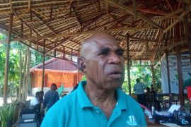 Disbudpar Jayapura: Pemantauan Burung Cenderawasih objek wisata kelas dunia