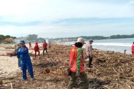 Satpolairud dan masyarakat bersihkan tumpukan sampah kayu di Pantai Santolo Garut