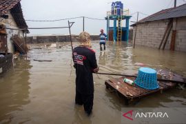 BPBD menetapkan status tanggap darurat banjir rob di Indramayu