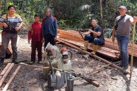 Polisi tangkap tujuh perambah liar di Hutan Suaka Marga Satwa Rimba Baling Riau