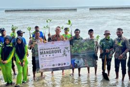 Usaha yang bisa ditempuh Jakarta menuju emisi nol karbon