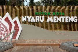 Akhir pekan pertama 2025, Hutan Kota Nyaru padat pengunjung