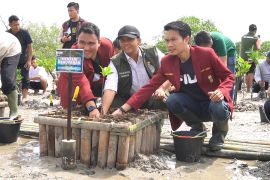 Menhut pimpin program penanaman 50 ribu bibit mangrove di Bali