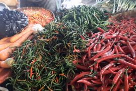 Pemprov NTB upayakan harga cabai turun dan stabil sebelum Ramadhan