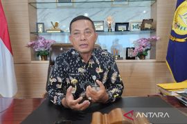 Pj Gubernur Papua sebut BUMD nonprofit untuk diaudit