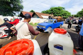 Ternak sapi dari luar daerah dilarang masuk pasar hewan di Situbondo