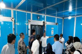 Pemprov Sulteng: Ekspor Frozen dan pasta durian ke Tiongkok