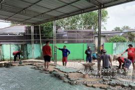 Sambut Ramadhan, PDI Perjuangan Pangkalpinang bakti sosial rehab masjid