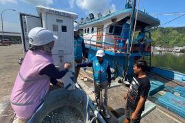 PLN sukses hadirkan listrik 47,32 GWh dorong pertumbuhan sektor perikanan dan kelautan