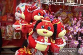 Lima shio paling hoki di Tahun Ular Kayu 2025