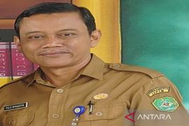 Dinkes catat tiga penyakit menular di Tapin sepanjang Desember 2024