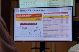 BPS: Diskon tarif listrik berpengaruh besar redam inflasi