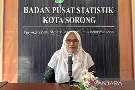 BPS: Transportasi penyumbang inflasi bulan Januari di Kota Sorong