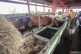 Disnakeswan Lamongan dapat tambahan 20 ribu dosis vaksin