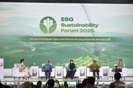 Hashim apresiasi peran aktif perdagangan karbon Indonesia terbesar dari PLN