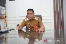 Pemprov Kalsel upayakan peningkatan investasi selain di pertambangan