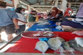 BPS Sultra: Listrik dan ikan picu deflasi 0,39 persen pada Januari 2025