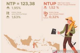 NTP Sulsel Januari 2025 naik 1,95 persen