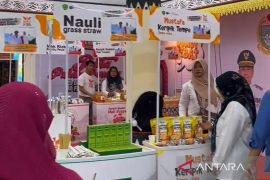 UKM Tapsel bersinar di Expo Malaysia, produk lokal laris manis