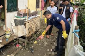 Polres HST ungkap motif penganiayaan tewaskan ayah tiri