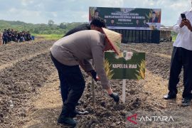 129 hektare lahan di Riau ditargetkan ditanami komoditas pangan