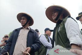 Menhut: Program agroforestri mendukung swasembada pangan