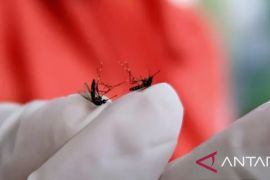 Selama Januari 2025 terdapat 55 kasus DBD di Purwakarta