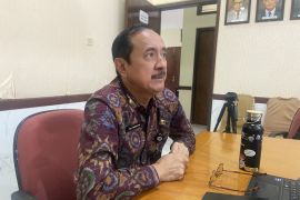 Dispar Bali optimistis pungutan wisman 2025 melampaui Rp318 miliar